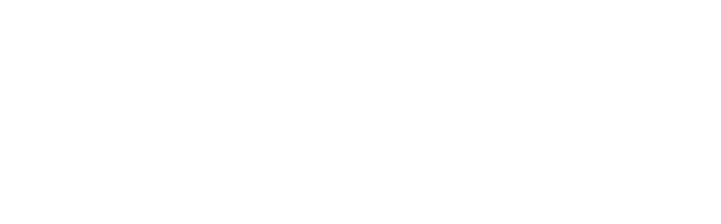 RICHO CONSULTING COMPANY